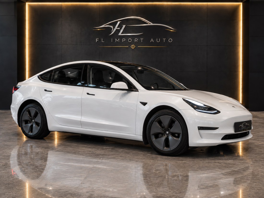 Tesla Model 3 Standard RWD Plus 60 kWh – 03/2021 – 59 528 km — vue 2