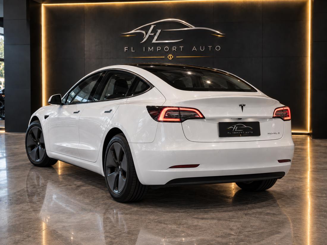 Tesla Model 3 Standard RWD Plus 60 kWh – 03/2021 – 59 528 km — vue 3