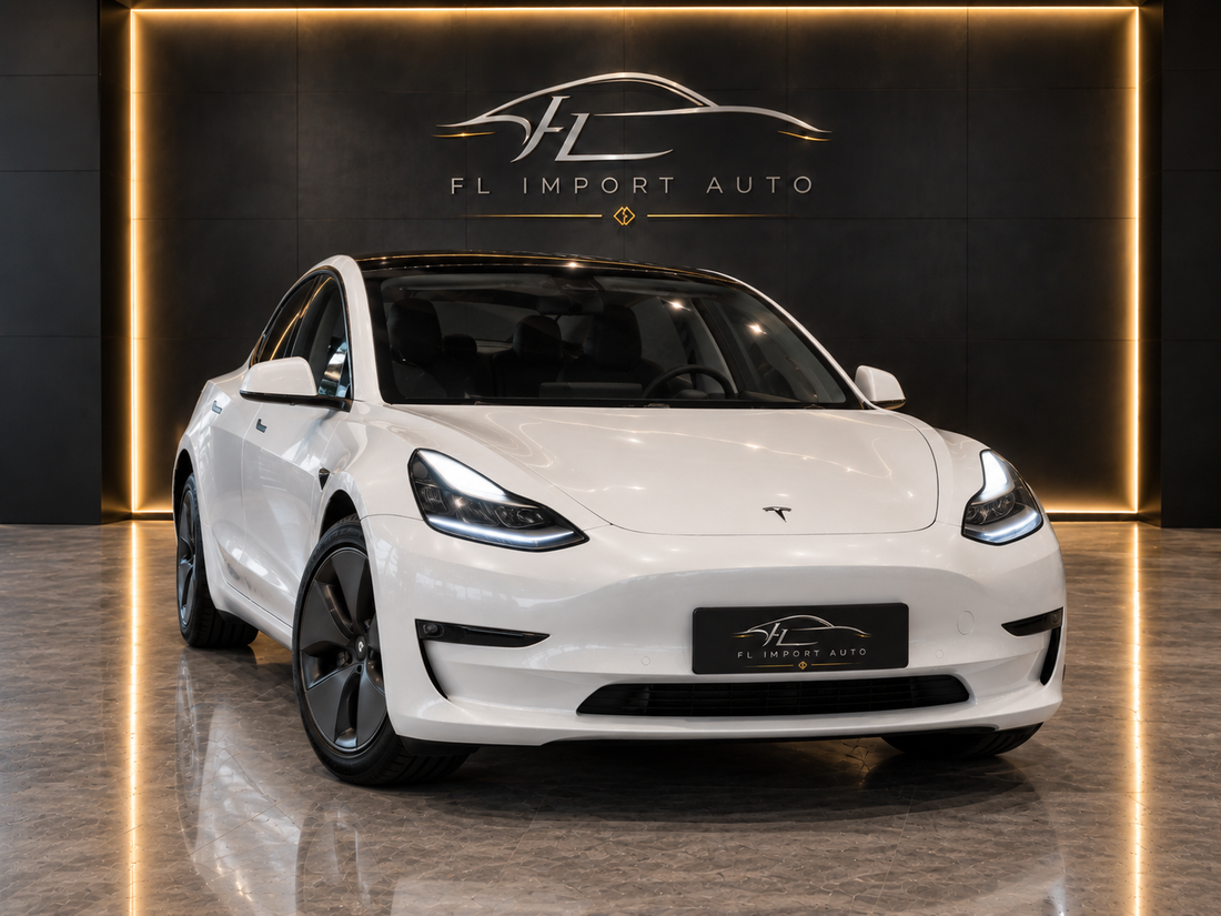 Tesla Model 3 Standard RWD Plus 60 kWh – 03/2021 – 59 528 km — vue 4